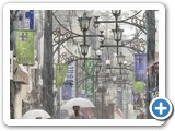 043 THE RAIN